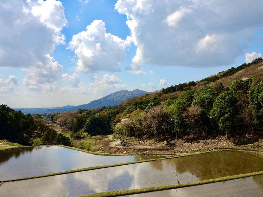 高峯の棚田