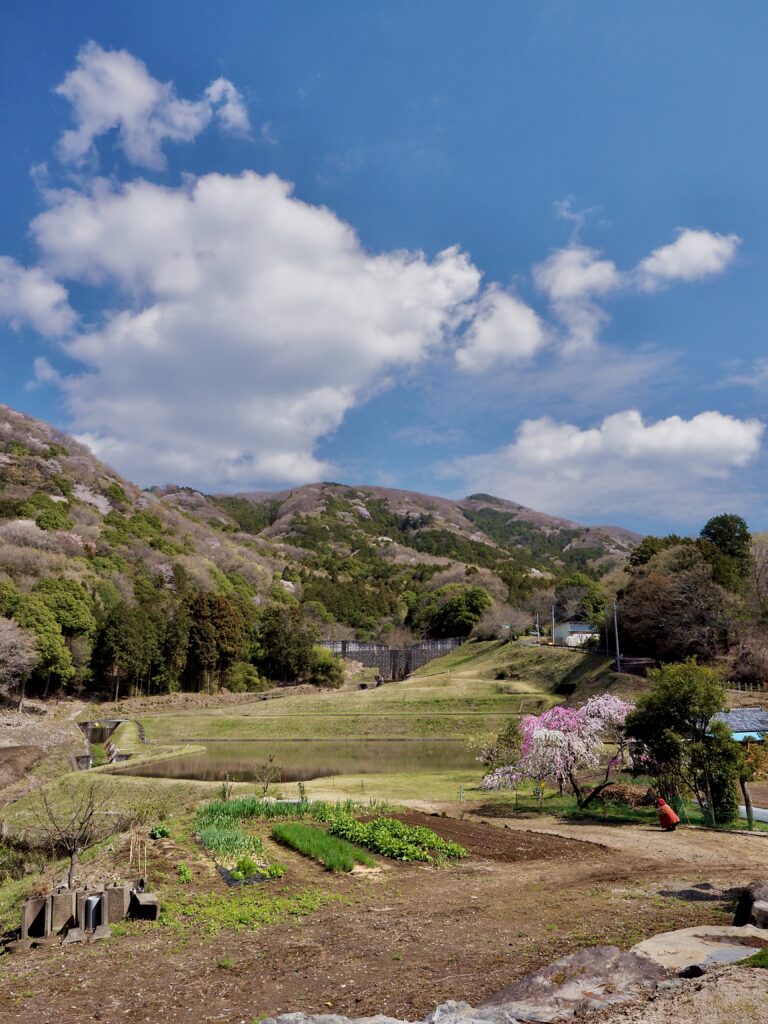 高峯麓から